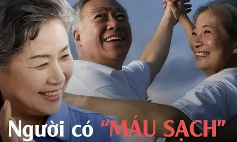 Người có "máu sạch" thường có 5 đặc điểm - nếu bạn đạt được 4, xin chúc mừng!