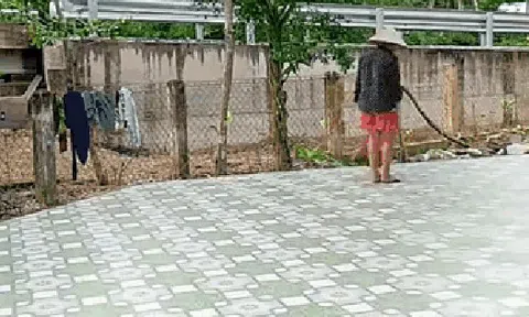 Xem người miền Tây quét sân, cả nước "tiền đình, hoa mắt"