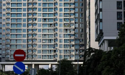 Lợi nhuận cho thuê căn hộ thấp chưa từng thấy