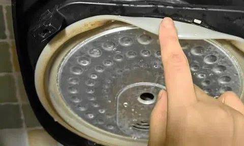 4 vị trí trong nồi cơm điện không vệ sinh, coi chừng ăn cơm có gián!