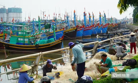 Bão số 15 diễn biến khó lường, hàng trăm tàu cá khẩn cấp vào bờ trú bão ở Phan Thiết