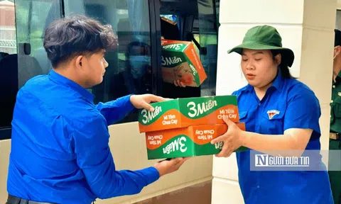 Những bông hoa tri thức giữa đại ngàn Lâm Đồng: Lan tỏa ánh sáng, gieo chữ, dựng niềm tin đổi mới