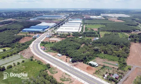 "Cất cánh" cùng dự án 16 tỷ USD, "sóng lớn" đổ bộ Đồng Nai, loạt doanh nghiệp tư nhân ồ ạt nhập cuộc