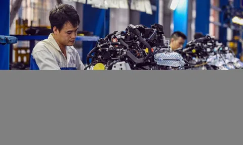 Doanh nghiệp Việt Nam thích nghi với biến động thương mại toàn cầu