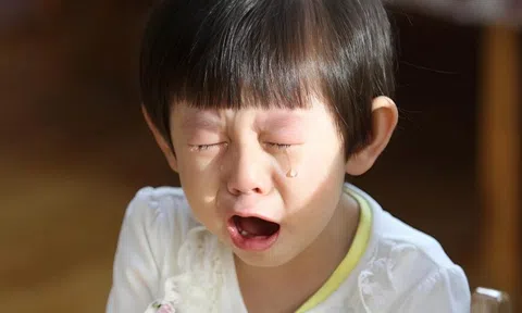 Giáo sư Harvard chỉ ra: 3 dấu hiệu ở trẻ dự báo lớn lên "không có tiền đồ"!