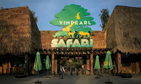 Cổ phiếu liên quan ông Phạm Nhật Vượng vừa được cấp margin