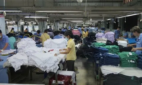 Chi tiết mức lương tối thiểu vùng áp dụng tại TPHCM từ 1-1-2026