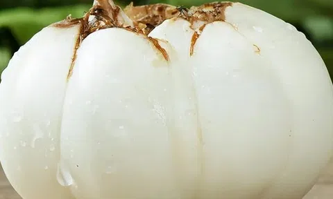 Mềm hơn khoai lang, bổ hơn khoai môn: Loại củ mùa đông vừa ra đã hot, ăn thường xuyên bổ thận, bổ phổi