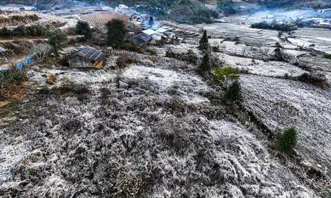 Lào Cai: Băng giá trắng xóa 'bao phủ' bản làng ở Y Tý