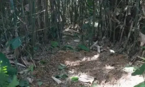 Đang đào giun thấy xẻng chạm phải vật cứng, lão nông dân run rẩy phát hiện kho báu nặng 30kg ngàn năm tuổi còn nguyên vẹn