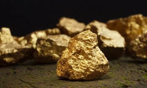 Công ty đào vàng lớn nhất Việt Nam nguy cơ bị hủy tư cách đại chúng