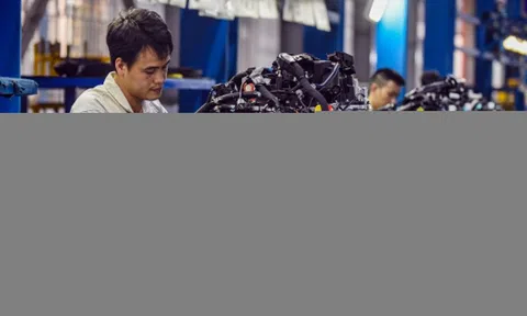 Doanh nghiệp Việt Nam thích nghi với biến động thương mại toàn cầu