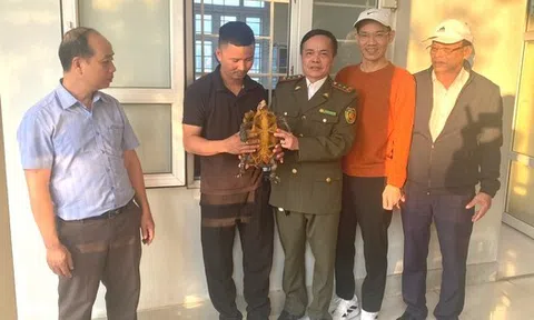 Thấy con vật bò lổm ngổm trong vườn, người dân liền gọi đường dây nóng trình báo