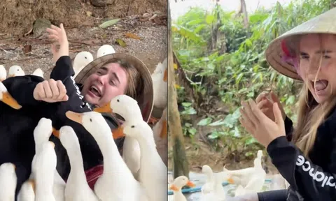 Cô gái Tây la hét thất thanh khi thử 1 trò chơi độc lạ ở Việt Nam