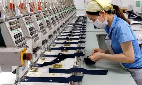 Những tín hiệu vui về chính sách tiền lương từ ngày 1-1-2026