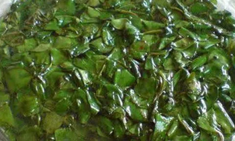 Loại cây "hiếm có khó tìm", giữ bên mình gặp nhiều may mắn, ăn vào bụng bổ như nhân sâm