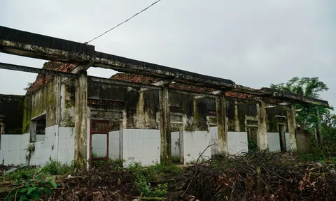 Hà Tĩnh: Cận cảnh phòng khám bỏ hoang nằm giữa khu “đất vàng” trở thành nơi chăn nuôi gia súc