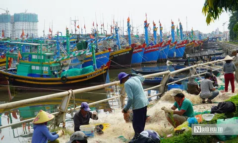 Bão số 15 diễn biến khó lường, hàng trăm tàu cá khẩn cấp vào bờ trú bão ở Phan Thiết