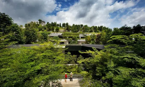 Bất động sản dưỡng lão thành 'mỏ vàng mới', thu hút loạt đại gia