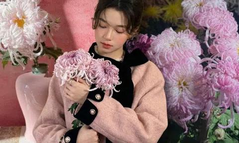 Mê mẩn loài cúc lạ "Sư Tử Phấn Bạch": Nhìn tưởng lông vũ, sờ mịn như tơ, bí kíp chăm trong chung cư kín gió vẫn nở bung rực rỡ