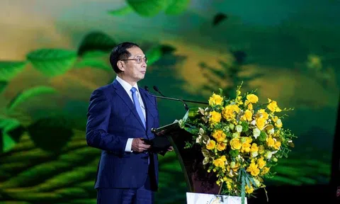 Phó Thủ tướng Bùi Thanh Sơn tham dự khai mạc Lễ hội Trà quốc tế 2025