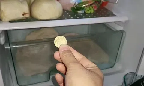 Người thông minh bỏ 1 đồng xu vào tủ lạnh trước khi vắng nhà dài ngày: Lý do nghe xong ai cũng phải gật gù đồng ý