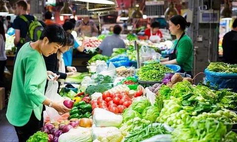 4 loại rau sạch cực ít thuốc trừ sâu, vừa bổ dưỡng còn tốt cho sức khỏe: Đi chợ yên tâm mua ngay kẻo hết