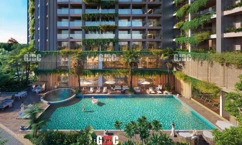 Lợi thế thiên nhiên và văn hoá: Vì sao Việt Nam có thể trở thành" Japan of wellness"