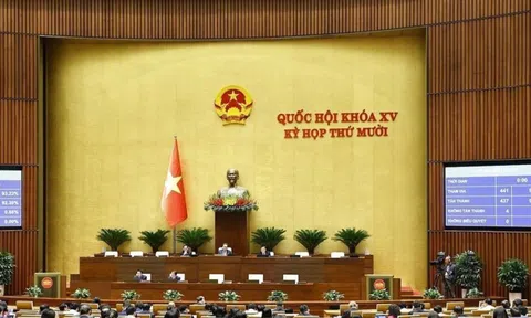 Quốc hội thảo luận loạt cơ chế đặc thù cho Hà Nội, TP Hồ Chí Minh, Đà Nẵng và ngân sách 2025