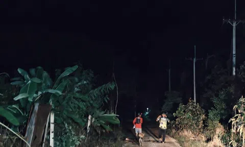 Hơn 100 sinh vật khổng lồ tràn qua khu rừng lúc 2h sáng, cảnh tượng khiến người dân thấp thỏm cả đêm