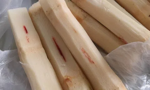 Mua mía thấy vệt đỏ trên thân thì vứt ngay lập tức, ăn vào nôn mửa, co giật tay chân