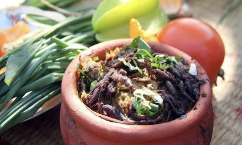 4 đặc sản "ngọ nguậy" đáng sợ bậc nhất Việt Nam