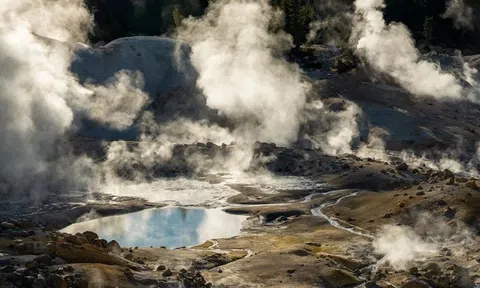 Phát hiện loài sinh vật mới có khả năng chịu nhiệt cao kỷ lục