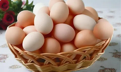 Trứng gà màu trắng và màu nâu loại nào tốt hơn?
