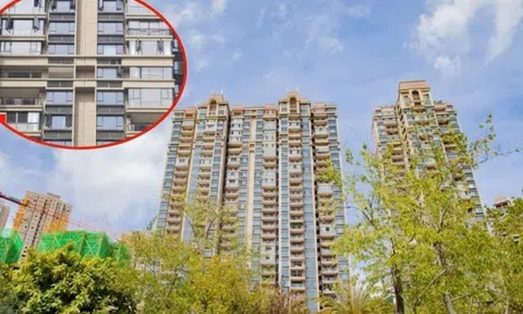 Sự cố không tưởng: Mua chung cư, nhưng cải tạo nhầm nhà hàng xóm, bất ngờ với chi phí phải bồi thường