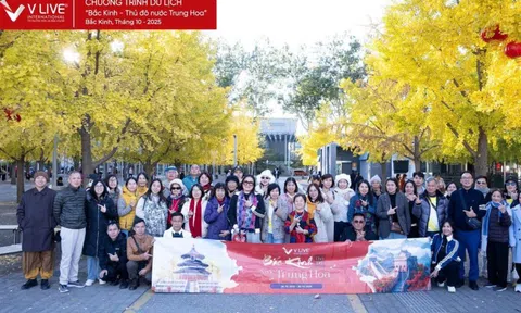 V LIVE International đưa đối tác và khách hàng khám phá Bắc Kinh mùa lá vàng