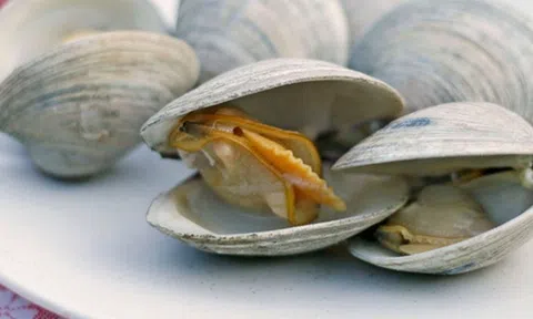 4 thực phẩm dễ tích tụ cả "mỏ kim loại nặng", độc tính mạnh gấp nhiều lần thủy ngân