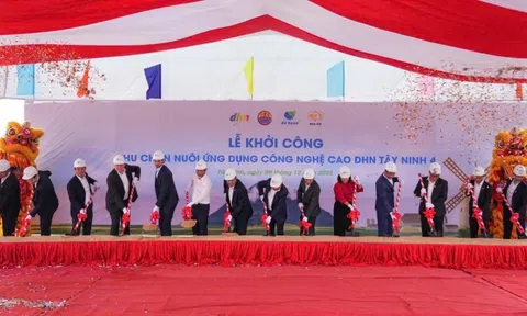 Cú hích đầu tư trăm tỷ giúp Tây Ninh thành thủ phủ chăn nuôi gia cầm hiện đại