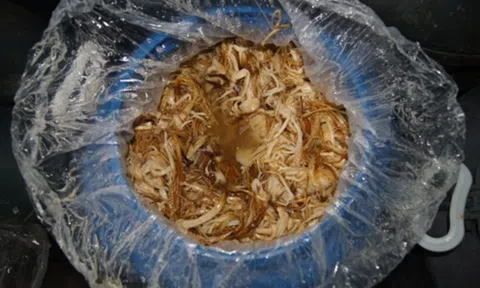 Mua rau mùa đông, 5 loại nhìn đẹp nhưng “trời cho cũng đừng lấy”, vừa ít dinh dưỡng, lại có nguy cơ hại sức khỏe