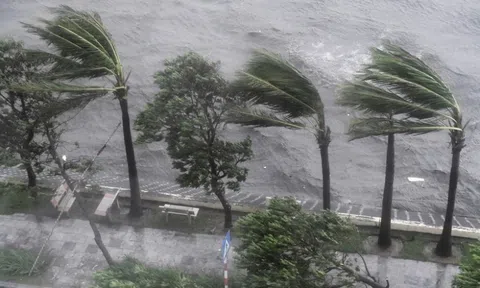 Người dân khu vực này đặc biệt lưu ý: Chỉ ít giờ tới, nguy cơ gió mạnh và mưa dông rất cao