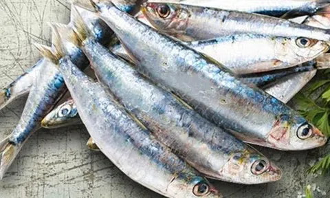 6 loại cá ít "ngậm" thủy ngân nhất, đi chợ nên mua