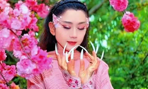 Giá vé cao 20 triệu đồng, đêm diễn của Dương Lệ Bình tại Hà Nội gây tranh cãi