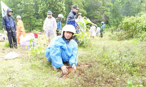 Một tỷ cây xanh và bước chuyển mới của nông thôn Việt Nam