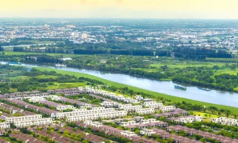 Khi kiều bào trở về quê hương tìm chốn an cư