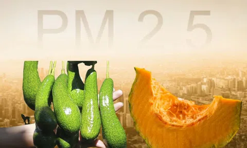 Ăn gì "đẩy" bụi mịn PM 2.5 ra khỏi cơ thể?