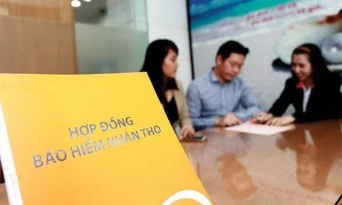 Từ 2026, tư vấn viên bảo hiểm nhân thọ hết được 'chạy 2 chân'