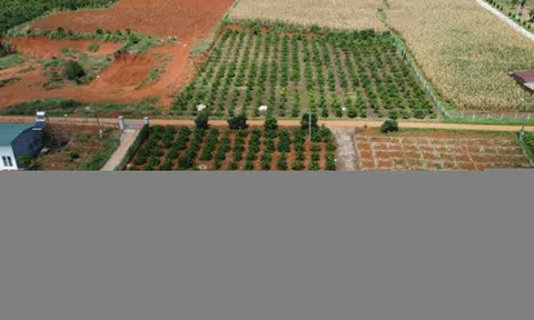 Đề xuất giảm 70% tiền chuyển đổi đất nông nghiệp lên thổ cư