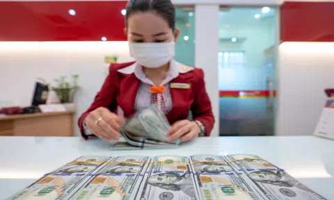 Fed hạ lãi suất, giá USD rơi sâu nhất kể từ tháng 9