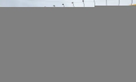 Điện Máy Xanh muốn lên sàn vào 2026