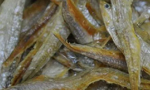 4 loại cá bổ dưỡng lại rẻ tiền, ít xương gần như “không tanh”, ăn một lần là mê